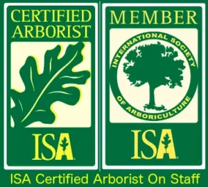ISA Certified Arborist in Seattle, Bellevue or Everett WA